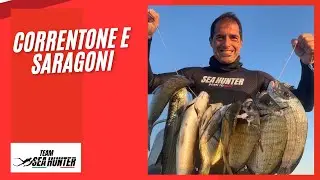 🎣 PESCA IN APNEA AD AGOSTO: CACCIA AI SARAGHI IN POCA ACQUA! 🐟
