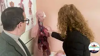 IL NOSTRO PROFESSIONALE - IIS G.B. ODIERNA Palma di Montechiaro