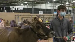 San Antonio Stock Show and Rodeo modifying some events ahead of inclement weather this weekend