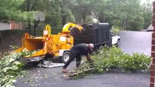 Woody's Tree Service   Brush Services