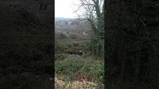 Bosque monta&ntilde;oso y r&iacute;o relajante en la Sierra Norte de Madrid, Espa&ntilde;a
