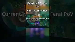Current Gladiator Feral vs Full Multi Rank One Team, MM Damage Is Insane! #worldofwarcraft #wow