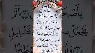 Surah Al-Fil | Allah Ki Qudrat Ka Mu&rsquo;jiza 🕋 | Short Tilawat #quran #islamic shorts