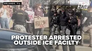 'Manhandled': Protester arrested outside Orlando ICE facility after 'touching vehicle'