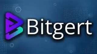Bitgert - What is this project and why should you invest?
