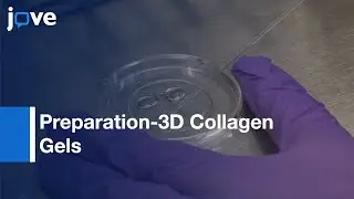 Preparation Of 3D Collagen Gels & Microchannels For Study Of 3D Interactions l Protocol Preview