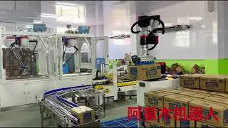 Precision & Power: Small Robot, Huge Palletizing Potential