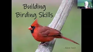 Alachua Audubon Evening Program: Building Birding Skills with Adam Kent (9 Nov 2020)