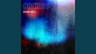 Orchids