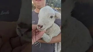 Ya est&aacute;n naciendo los primeros.😍