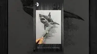 Drawing a Shark Jumping Out of Water  #drawing #art #sketch #satisfyingart #drawingskills  #viralart