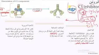 البروتينات المنظمة للمتممة 1  / C1inh /