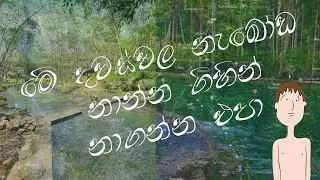 Neboda Natural Pool