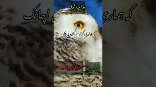 Quran Surah Al-A'raf Ayat Azab e Khuda