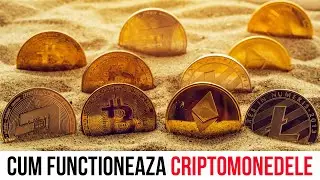 Cum Functioneaza Criptomonedele?