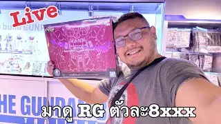 Live. มาดู RG ตัวละคร 8xxx ที่ The Gundam Base Thailand @ Siam Center ชั้น1.