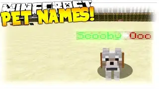 How to give Pet Names on Minecraft! (Bukkit Plugin)