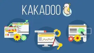 Kakadoo | Web Design & Development