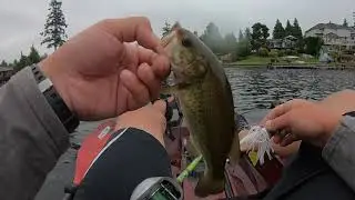 Martha lake bass fishing!!!! ALMOST TIPPED KAYAK!!!!