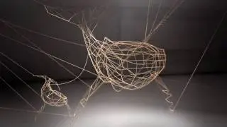 Все мы связаны - WWF - We Are All Connected
