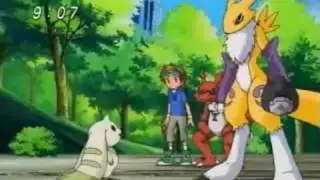 A Tribute To Renamon
