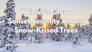 Winter's Glow: Sunset Serenity Among Snow-Kissed Trees
