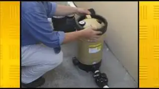 Davey Pool Cartridge Filters