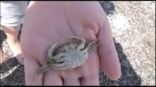 Kinder wandern ⛵️auf dem Erlebnispfad⛴ Klima und ⛴K&uuml;ste in 🦀Laboe