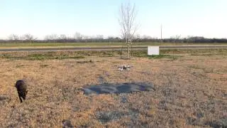Short Video of the quadcoter flying without a leash