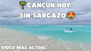 CANCUN🤩PLAYAS HERMOSAS❤️SIN SARGAZO🌊PLAYA DELFINES 28 ENERO 2026