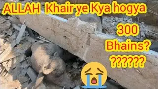 ALLAH Reham || Cattell Colony Dairy Farm Big Collapse || Bhains Colony