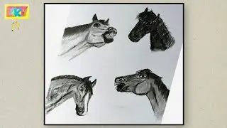 Как нарисовать 4 разных выражения мордочки лошади за 34 минуты? Как нарисовать лошадь карандашом?