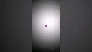 ❗FW❗ #скабеева