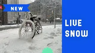 Live snowing in Montreal!! 2025-12-06 | ASMR