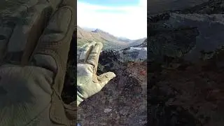 BEAR VALLEY, Alaska #solotravel #valley #shortsvideo #intothewilderness