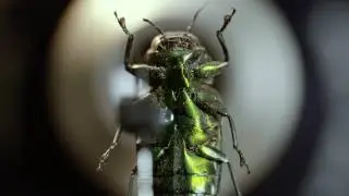 Microsculpture Trailer