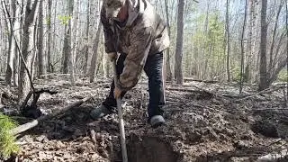 Копаем железо в лесу! неожиданная находка!