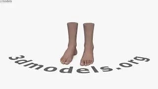 Female Foot 3D model by 3DModels.org