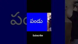 #Baby Boy Nick Names In Telugu 2023 #Short #Shorts #Anithachandra Creations