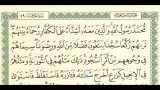 شرح وتفسير لسورة الفتح الاية الاخيرة ( ٢٩ ) + سورة الحجرات من آية ( ١ ) إلى آية ( ٤ ) ش : فهد العمار