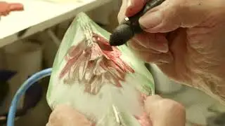 See the making of an orchid