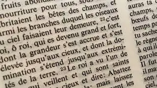 D&eacute;livre- Toi/ Luc 21:36