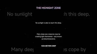 🌊 Midnight Zone Adventure: Diving from 0 to 1,000 Meters into the Deep Sea! 🐠 #deepsea #intothedeep