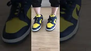 Nike Dunk Low Michigan On Feet Review From Beyourshops.ru