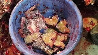 Fish Cutting at Market Bangla | Fresh Fish at Shop। #streetfood #fish #beachfish #fishcutting #