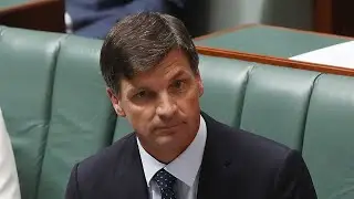 Senate votes down Angus Taylor inquiry