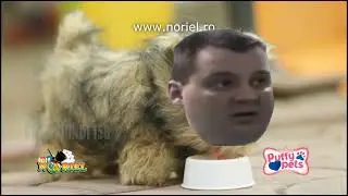 Reclamă la Sweppers cu mă ta