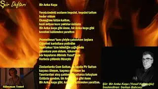 Bir Anka Kuşu (Yusuf Hayaloğlu)
