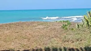 Ambient sounds of Calabash Bay, Treasure Beach