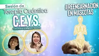 Quantum Therapy Session C.E.Y.S. - #Reincarnation in #Pets | Tica